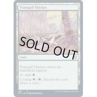 [EX+]平穏な茂み/Tranquil Thicket《英語》【Commander 2021】