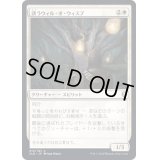 (FOIL)誘うウィル・オ・ウィスプ/Beckoning Will-o'-Wisp《日本語》【CLB】