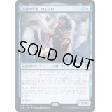 [EX]巡歴の学者、ヴォーロ/Volo, Itinerant Scholar《日本語》【CLB】