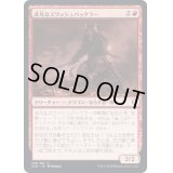 (FOIL)非凡なスワッシュバックラー/Swashbuckler Extraordinaire《日本語》【CLB】
