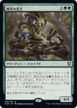 (FOIL)棘茨の君主/Bramble Sovereign《日本語》【CLB】