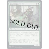(FOIL)土地の円環のドルイド/Circle of the Land Druid《日本語》【CLB】