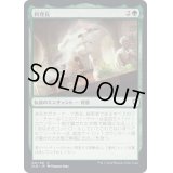 [EX]料理長/Master Chef《日本語》【CLB】