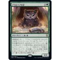 アウルベアの仔/Owlbear Cub《日本語》【CLB】