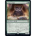 [EX+]アウルベアの仔/Owlbear Cub《日本語》【CLB】