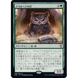 画像1: アウルベアの仔/Owlbear Cub《日本語》【CLB】