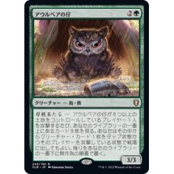 画像1: [EX+]アウルベアの仔/Owlbear Cub《日本語》【CLB】