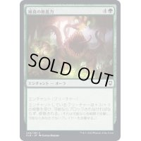(FOIL)捕食の推進力/Predatory Impetus《日本語》【CLB】