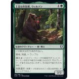 上品な灰色熊、ウィルソン/Wilson, Refined Grizzly《日本語》【CLB】