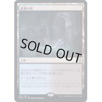 [EX](FOIL)変遷の泉/Morphic Pool《日本語》【CLB】