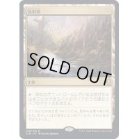 [EX](FOIL)反射池/Reflecting Pool《日本語》【CLB】