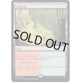 [EX+]尖塔の庭/Spire Garden《日本語》【CLB】