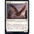 (FOIL)偵察の鷹/Scouting Hawk《日本語》【CLB】