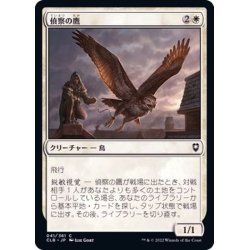 画像1: (FOIL)偵察の鷹/Scouting Hawk《日本語》【CLB】