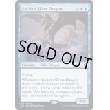 [EX](FOIL)エインシャント・シルヴァー・ドラゴン/Ancient Silver Dragon《英語》【CLB】