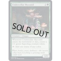 (FOIL)地下の地下のマイコニド/Undercellar Myconid《英語》【CLB】