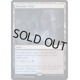 [EX]変遷の泉/Morphic Pool《英語》【CLB】