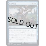 [EX](FOIL)同族の発見/Kindred Discovery《日本語》【CLB】