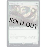 [EX+]マナ喰らいのハイドラ/Managorger Hydra《日本語》【CLB】
