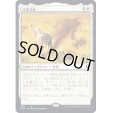 [EX+](FOIL)民衆英雄/Folk Hero《日本語》【CLB】