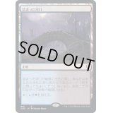 [EX+]詰まった河口/Choked Estuary《日本語》【CLB】