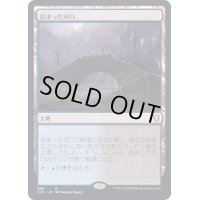 [EX+]詰まった河口/Choked Estuary《日本語》【CLB】