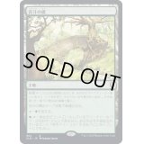 [EX+]苔汁の橋/Mosswort Bridge《日本語》【CLB】