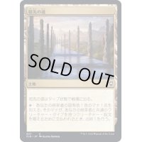 祖先の道/Path of Ancestry《日本語》【CLB】