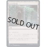ならず者の道/Rogue's Passage《日本語》【CLB】