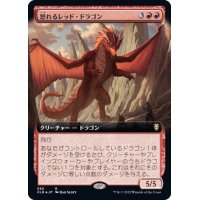 (FOIL)(フルアート)怒れるレッド・ドラゴン/Wrathful Red Dragon《日本語》【CLB】