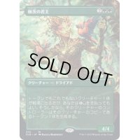 [EX](FOIL)(フルアート)棘茨の君主/Bramble Sovereign《日本語》【CLB】
