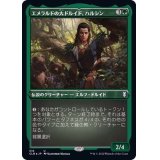 (エッチングFOIL)エメラルドの大ドルイド、ハルシン/Halsin, Emerald Archdruid《日本語》【CLB】