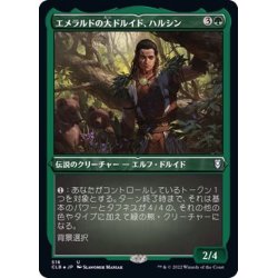 画像1: (エッチングFOIL)エメラルドの大ドルイド、ハルシン/Halsin, Emerald Archdruid《日本語》【CLB】