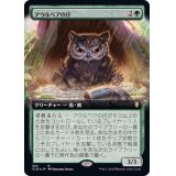 [EX+](FOIL)(フルアート)アウルベアの仔/Owlbear Cub《日本語》【CLB】