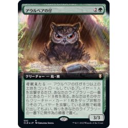 画像1: [EX+](FOIL)(フルアート)アウルベアの仔/Owlbear Cub《日本語》【CLB】