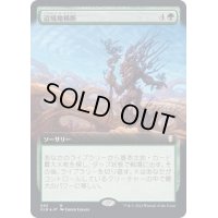 [EX+](フルアート)辺境地横断/Traverse the Outlands《日本語》【CLB】
