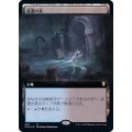 (フルアート)変遷の泉/Morphic Pool《日本語》【CLB】