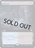 [EX+](フルアート)変遷の泉/Morphic Pool《日本語》【CLB】