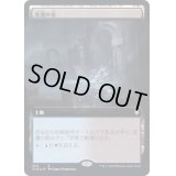 [EX](FOIL)(フルアート)変遷の泉/Morphic Pool《日本語》【CLB】