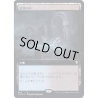 [EX+](フルアート)変遷の泉/Morphic Pool《日本語》【CLB】