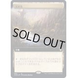 [EX](FOIL)(フルアート)反射池/Reflecting Pool《日本語》【CLB】