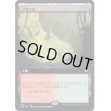[EX](FOIL)(フルアート)尖塔の庭/Spire Garden《日本語》【CLB】