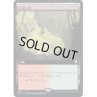 [EX+](フルアート)尖塔の庭/Spire Garden《日本語》【CLB】