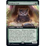 (フルアート)アウルベアの仔/Owlbear Cub《英語》【CLB】
