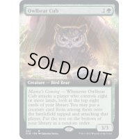 [EX+](フルアート)アウルベアの仔/Owlbear Cub《英語》【CLB】