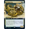 (フルアート)とぐろ巻きの巫女/Coiling Oracle《日本語》【CMR】