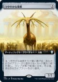 (FOIL)(フルアート)つややかな雄鹿/Burnished Hart《日本語》【CMR】