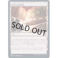 [EX+](FOIL)(フルアート)広漠なる変幻地/Terramorphic Expanse《日本語》【CMR】