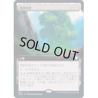 [EX+](FOIL)(フルアート)無限地帯/Myriad Landscape《日本語》【CMR】