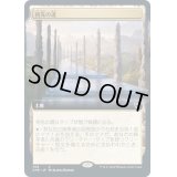 [EX](FOIL)(フルアート)祖先の道/Path of Ancestry《日本語》【CMR】